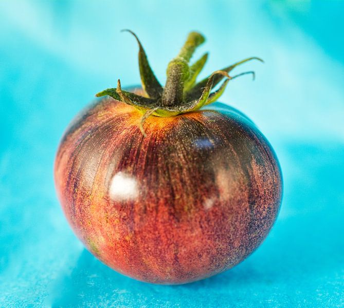 Chocolate Striped Tomato on Blue by Iris Holzer Richardson