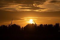 Abendsonne
