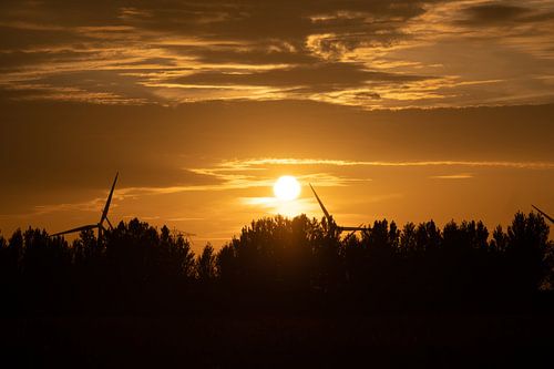 evening sun