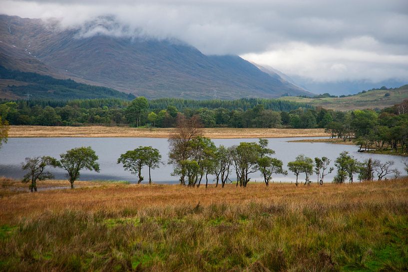 Scottish landslide van Rien de Jongh