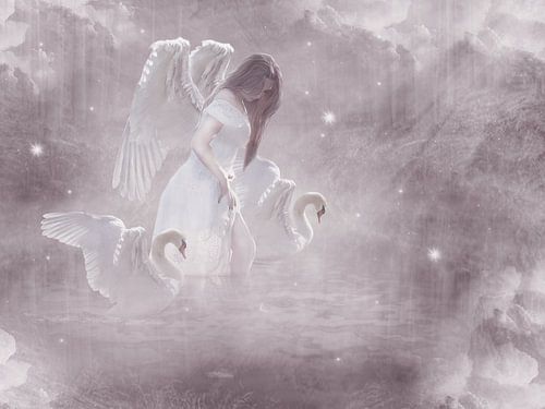 Retrieval of the heart