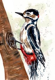 Little woodpecker on tree trunk by Sebastian Grafmann
