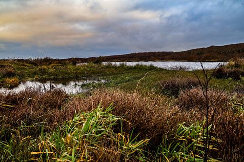 Landschaft auf Texel