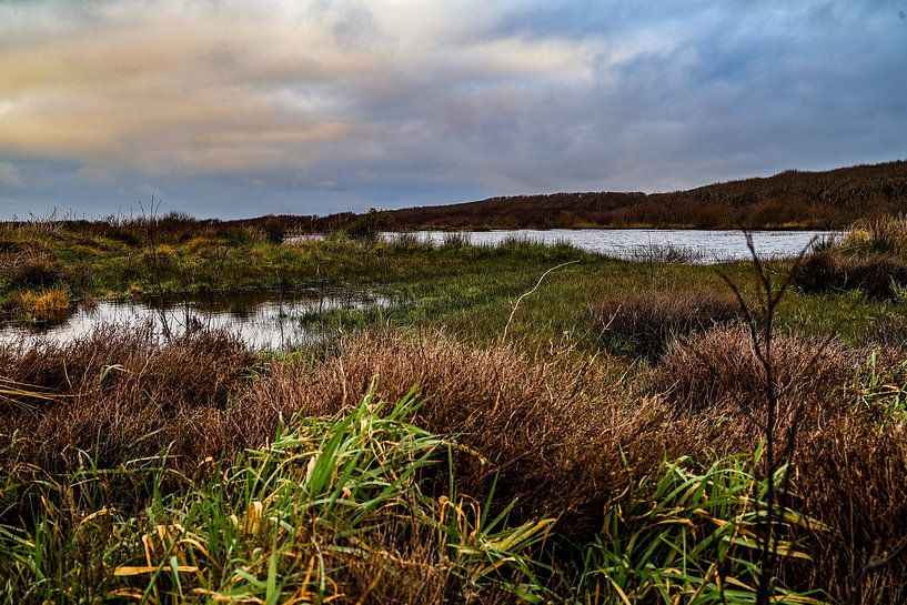 Landscape on Texel by Ilona Water