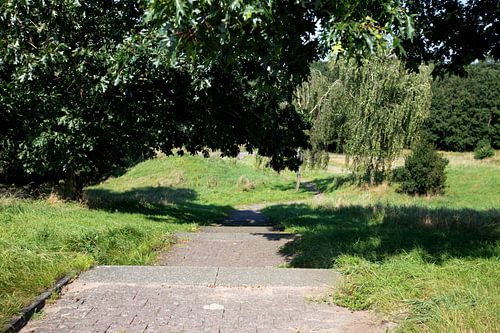 Ontdek de natuur in een bosrijk gebied in Emsland, Nedersaksen, Duitsland