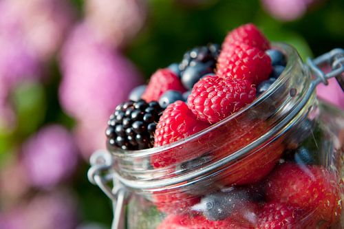 Fruits de forêt mélangés en pot