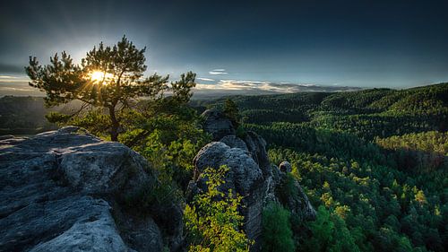 when the sun wakes up