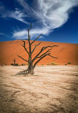 Deadvlei à Sossusvlei, Namibie sur Patrick Groß