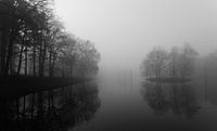 Mistig landschap landgoed Beerschoten
