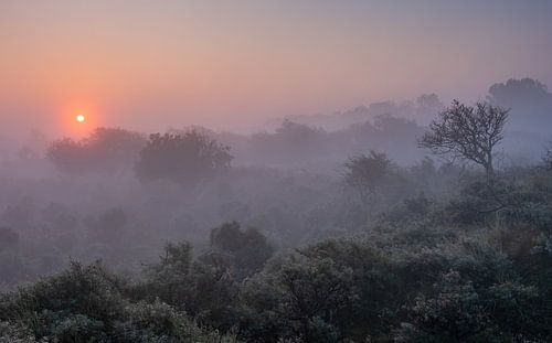 Amsterdamse Waterleiding Duinen