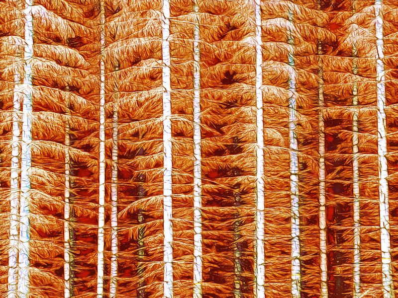 Forêt d'orangers (Orange Forests) par Caroline Lichthart