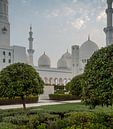Sheikh Zayed Grand Mosque van Luc Buthker thumbnail