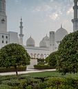 Sheikh Zayed Grand Mosque by Luc Buthker thumbnail