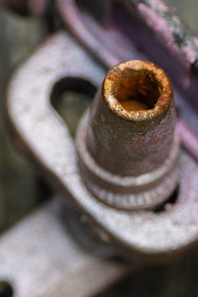 Macro par Marieke Deinum