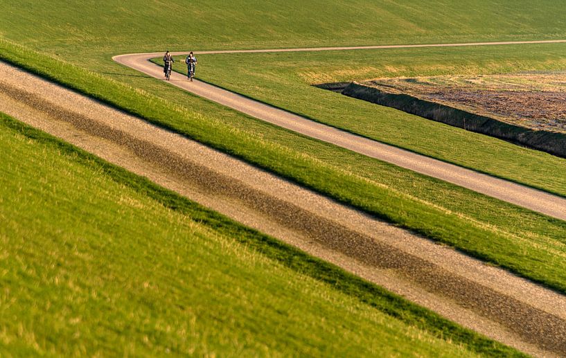 Fietsen tussen de lijnen van Harrie Muis