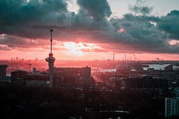 Rotterdam View 9