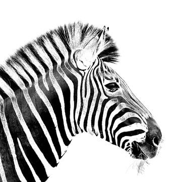 Zebra van Karsten van Dam