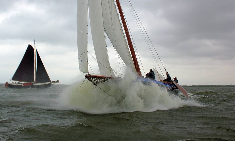 Lemsteraak met snor van Hielke Roelevink