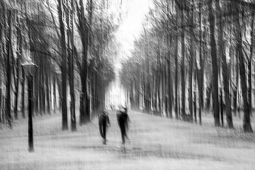 Lange Voorhout Den Haag van Wim Verhoeve