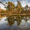 Birkhoven Forest Pond Reflection  - Amersfoort, Netherlands by Thijs van den Broek