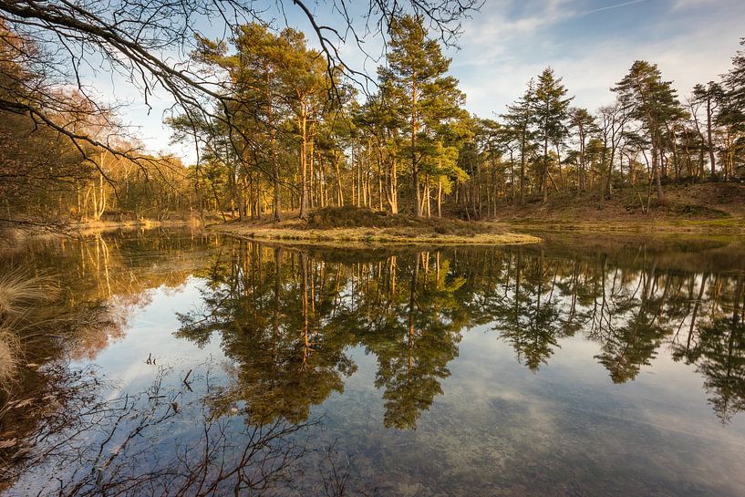 Birkhoven Wald Spiegelung Teich - Amersfoort, Niederlande von Thijs van den Broek