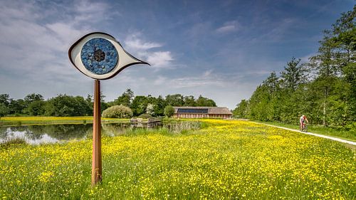 Het oog van het Curringherveld te Kornhorn