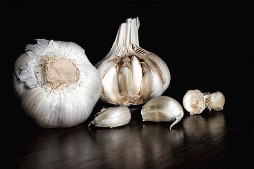 Still life in monochrome with garlic on a dark background