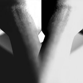 ARONSKELCH von IDBYDAAN - ART