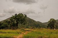 Sri Lanka; Island of Wonders