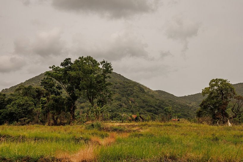 Sri Lanka; Insel der Wunder von Patrick Fotografeert
