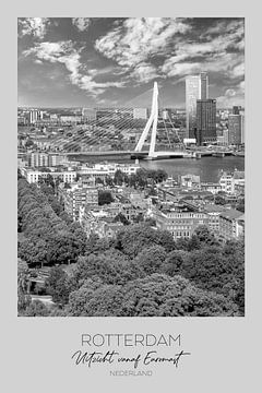 In beeld: ROTTERDAM Uitzicht vanaf de Euromast van Melanie Viola