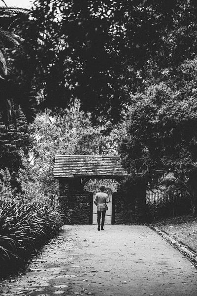 Oase der Ruhe: Der Botanische Garten von Melbourne von Ken Tempelers