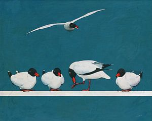 Vier Möwen in Ruhe und eine fliegende Möwe