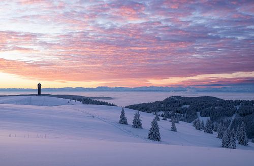 Magische winterse hemel boven het Zwarte Woud