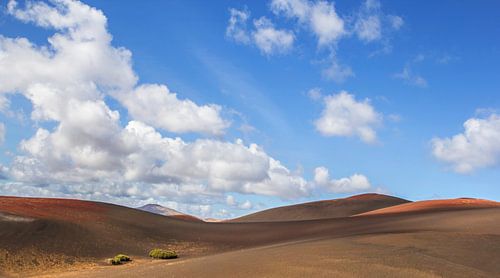 Lanzarote