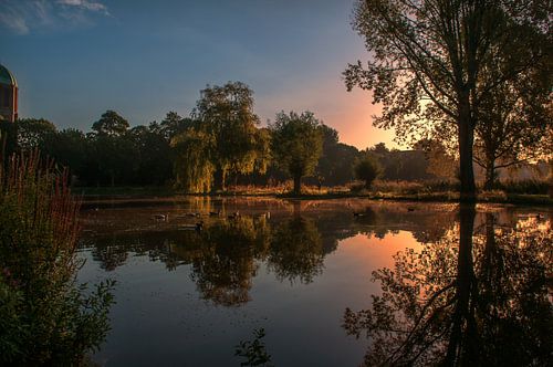Het park in de ochtend zon