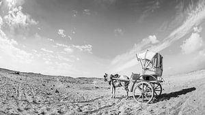 Eenzaam in de woestijn van Günter Albers