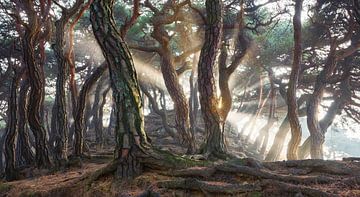 Sacred Pine Trees, Jaeyoun Ryu van 1x