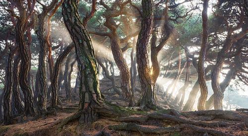 Heilige pijnbomen van Jaeyoun Ryu