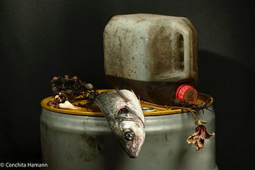 Vie silencieuse dans la mer. Nature morte