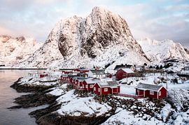 Die Lofoten im Winter 2026 von Johan Bergsma