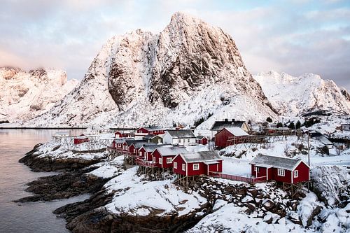 Die Lofoten im Winter 2026