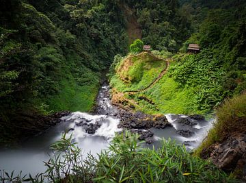 Jungle paradijs en watervallen nabij Pakse, Laos van Teun Janssen