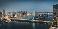 View of the Erasmus Bridge