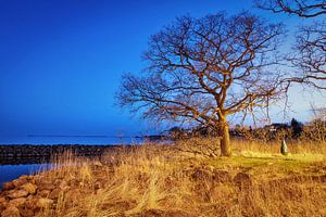 Blaue Stunde im Hafen von Lauterbach