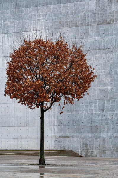 Urban autumn - nature meets concrete by Karsten Rahn