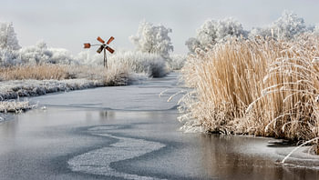 Weerribben-Wieden -winterlandschap