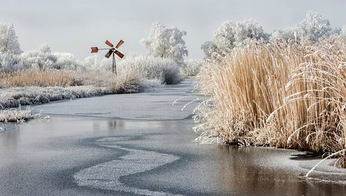 Weerribben-Wieden -winterlandschap