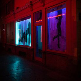 Rood licht. van Kathy Orbie