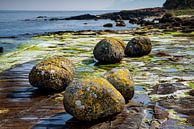 Küste der schottischen Insel Arran - 3 von Adelheid Smitt Miniaturansicht